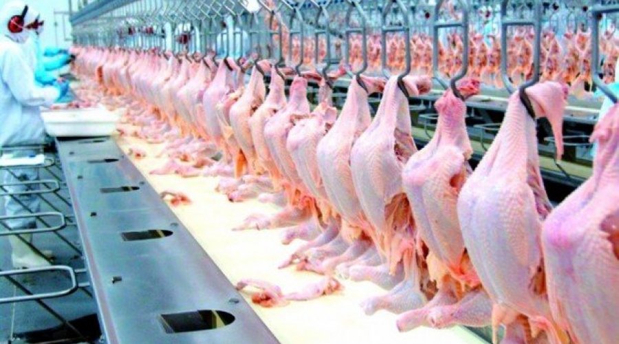 [China anuncia presença de coronavírus em frango importado do Brasil ]