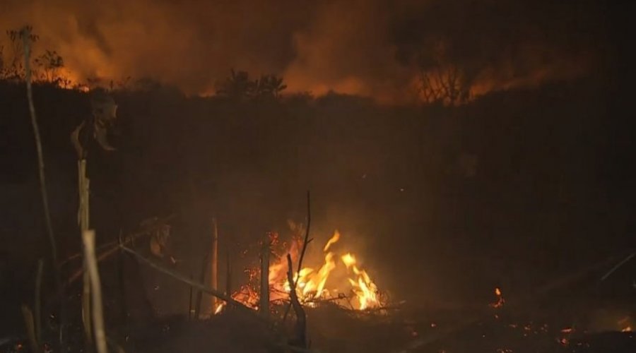 [Governo da Bahia decreta situação de emergência em 73 municípios atingidos por incêndios florestais]