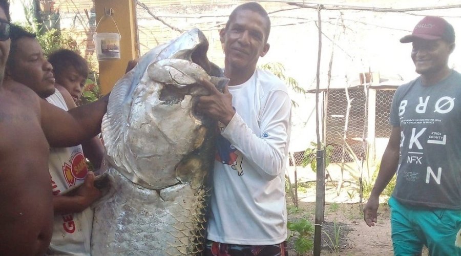 [Homem captura peixe de mais de 100 kg no Rio Grande do Norte e dispara: “foi luta para tirar da água”]