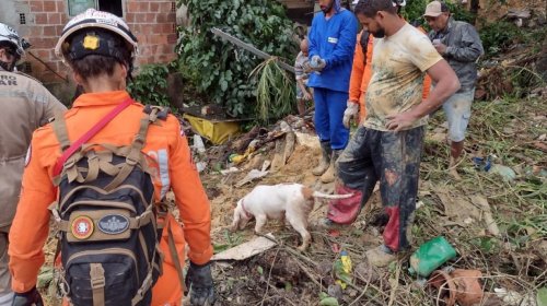 [Número de vítimas pelas chuvas em Pernambuco chega a 128 após corpo de última desaparecida ser...]