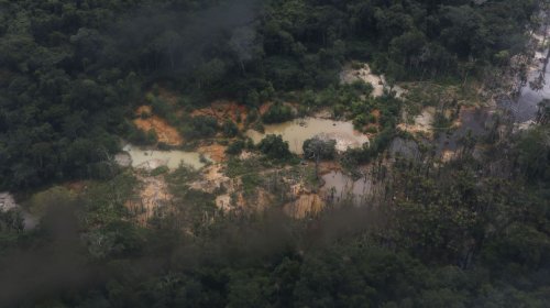 [PF combate comércio de ouro extraído ilegalmente de TI Yanomami]