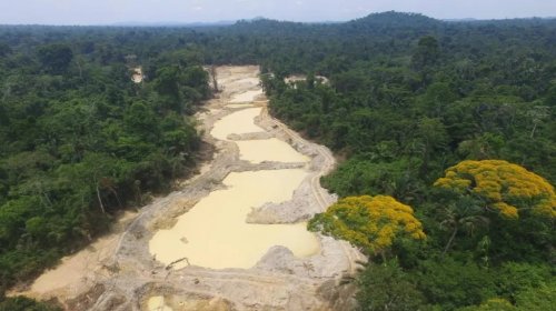 [Aliança Fundo Amazônia leva causa indígena e ambiental para Cannes]
