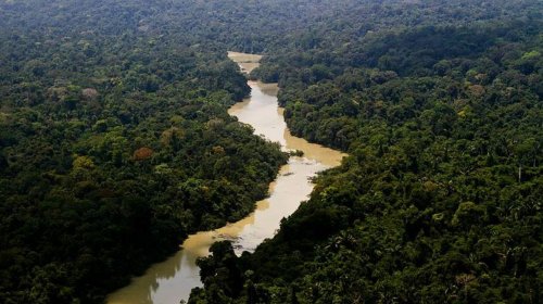[Alertas de desmatamento na Amazônia caem 66% em agosto]