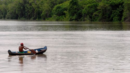 [Amazônia Legal terá recursos para projetos de bioeconomia]