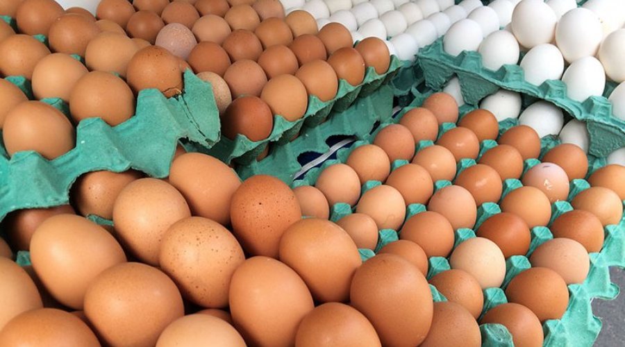 [Calor intenso pode fazer preço do ovo cair no Brasil; saiba motivo]