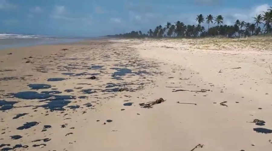 [Grupo promove multirão de limpeza do óleo em praias atingidas na Bahia]