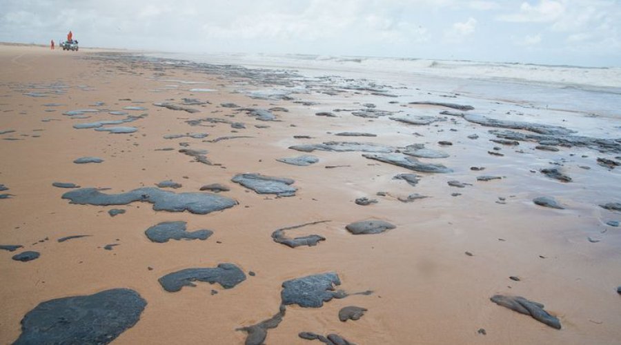 [Presidente do Ibama diz que derramamento de óleo em praias é um desastre inédito]