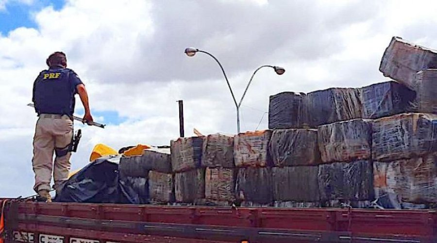 [PRF da Bahia apreende 3,5 toneladas de maconha na BR 116 ]