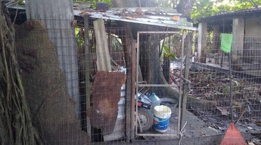 [Mais de 50 animais em situação de maus tratos são resgatados em imóvel em Camaçari]