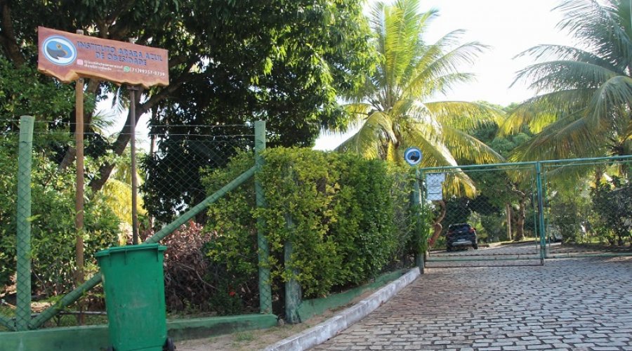 [Sem médicos nem enfermeiros: Cassi encaminha obesos mórbidos a clínica irregular em condomínio residencial de Camaçari]