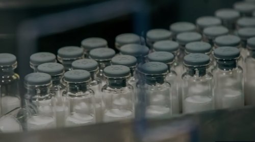 [Butantan deve pedir registro de nova vacina contra a dengue até julho]