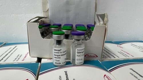 [Vacinação contra dengue tem início  nesta quinta-feira (15) em Salvador ]