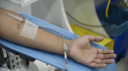 [Diagnóstico de dengue e imunização exigem cautelas na doação de sangue]
